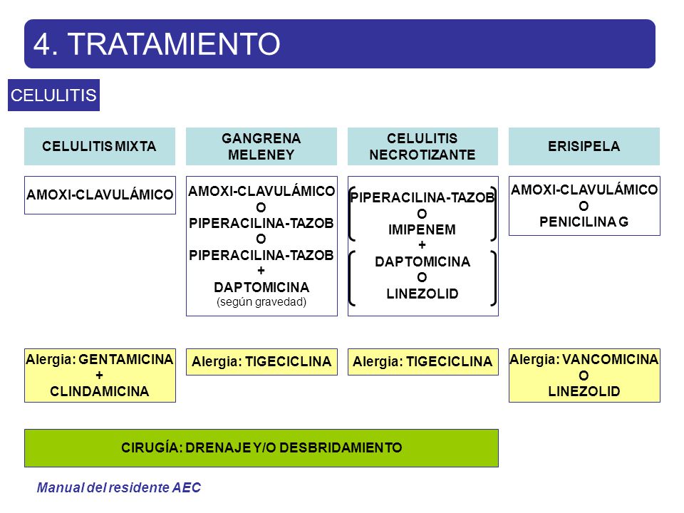 manejo antibiotico de la celulitis